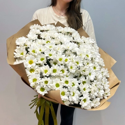 Букет «21 ромашка» – нежные белые кустовые хризантемы в натуральном стиле Алатырь Чувашская Республика Букет «21 ромашка» – нежные белые кустовые хризантемы в натуральном стиле Алатырь Чувашская Республика