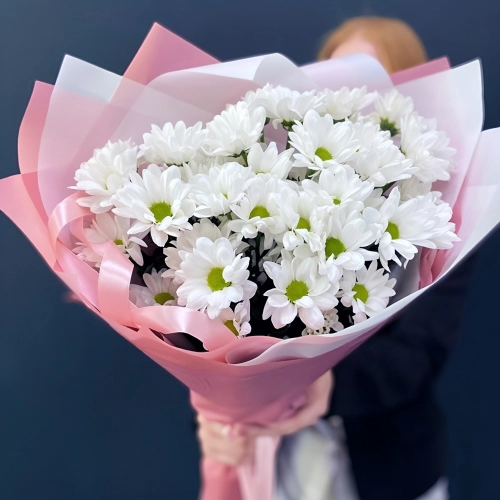 Букет «Розовое счастье» – нежность белых хризантем Алатырь Чувашская Республика Букет «Розовое счастье» – нежность белых хризантем Алатырь Чувашская Республика