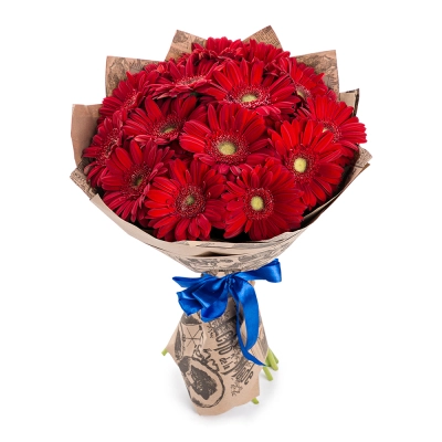 Яркий букет из 15 красных гербер – воплощение страсти и жизнерадостности Алатырь Чувашская Республика Яркий букет из 15 красных гербер – воплощение страсти и жизнерадостности Алатырь Чувашская Республика