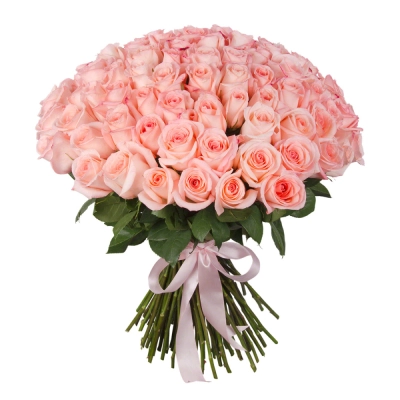 Букет из 101 розовой розы – символ бесконечной нежности Алатырь Чувашская Республика Букет из 101 розовой розы – символ бесконечной нежности Алатырь Чувашская Республика