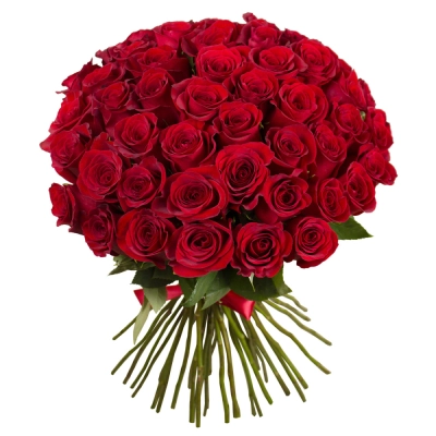 Букет «О, Шарман!» – 51 роскошная эквадорская роза Алатырь Чувашская Республика Букет «О, Шарман!» – 51 роскошная эквадорская роза Алатырь Чувашская Республика