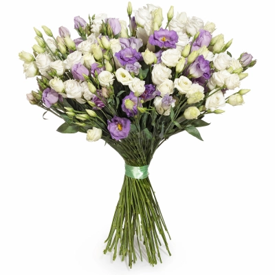 Изысканный букет из белых и фиолетовых эустом – гармония контрастов Алатырь Чувашская Республика Изысканный букет из белых и фиолетовых эустом – гармония контрастов Алатырь Чувашская Республика