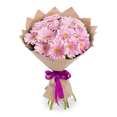 Нежный букет из 15 розовых гербер – воплощение трогательных чувств Алатырь Чувашская Республика Нежный букет из 15 розовых гербер – воплощение трогательных чувств Алатырь Чувашская Республика