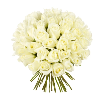 Роскошный букет из 51 белой розы – символ безграничной преданности Алатырь Чувашская Республика Роскошный букет из 51 белой розы – символ безграничной преданности Алатырь Чувашская Республика