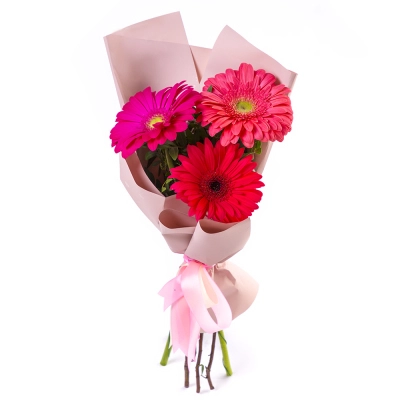 Яркий букет из 3 разноцветных гербер – маленькое чудо в ваших руках Алатырь Чувашская Республика Яркий букет из 3 разноцветных гербер – маленькое чудо в ваших руках Алатырь Чувашская Республика