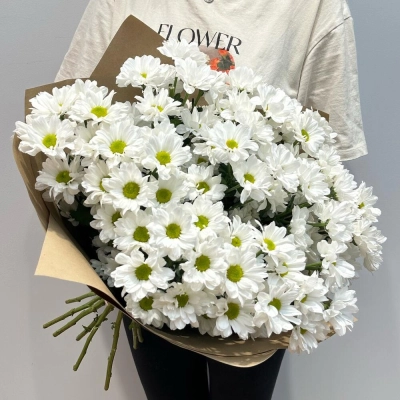 Букет «Летняя свежесть» – дыхание лета в белых хризантемах Алатырь Чувашская Республика Букет «Летняя свежесть» – дыхание лета в белых хризантемах Алатырь Чувашская Республика