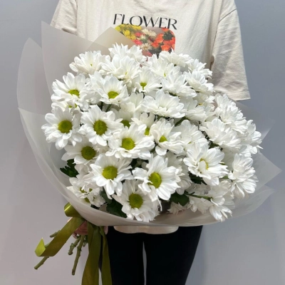 Букет «Летнее настроение» – свежесть белых хризантем Алатырь Чувашская Республика Букет «Летнее настроение» – свежесть белых хризантем Алатырь Чувашская Республика