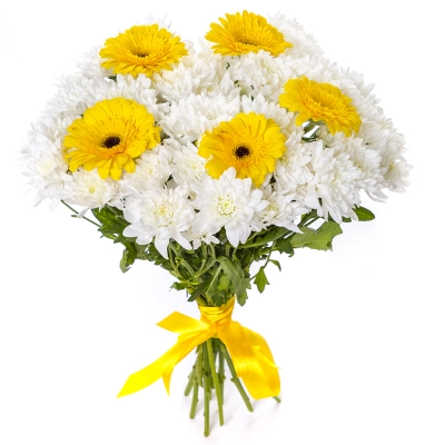 Солнечный букет из желтых гербер и белых хризантем – радость в каждом лепестке Алатырь Чувашская Республика Солнечный букет из желтых гербер и белых хризантем – радость в каждом лепестке Алатырь Чувашская Республика
