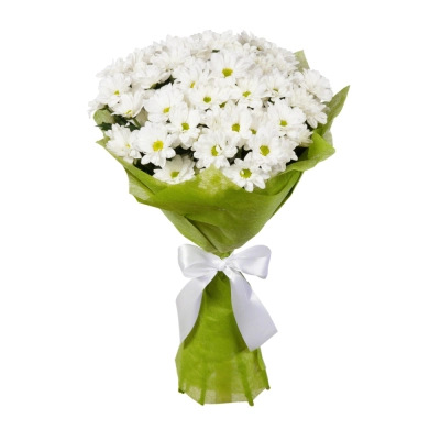 Пышный букет из хризантем – элегантность в каждом лепестке Алатырь Чувашская Республика Пышный букет из хризантем – элегантность в каждом лепестке Алатырь Чувашская Республика