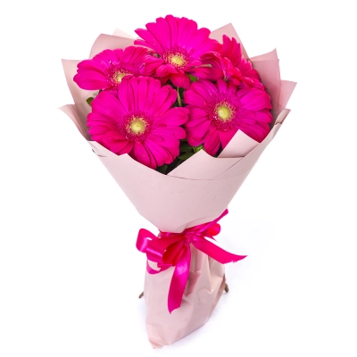Букет из 5 малиновых гербер – сочный акцент вашего подарка Алатырь Чувашская Республика Букет из 5 малиновых гербер – сочный акцент вашего подарка Алатырь Чувашская Республика