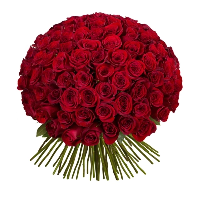 Букет из 101 красной розы – символ бесконечной страсти Алатырь Чувашская Республика Букет из 101 красной розы – символ бесконечной страсти Алатырь Чувашская Республика