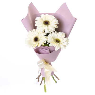 Нежный букет из 3 белых гербер – символ искренности и света Алатырь Чувашская Республика Нежный букет из 3 белых гербер – символ искренности и света Алатырь Чувашская Республика