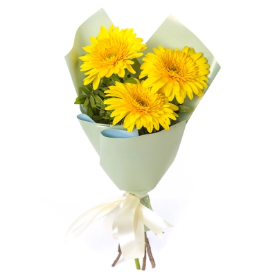 Яркий букет из 3 жёлтых гербер – частичка солнечного света Алатырь Чувашская Республика Яркий букет из 3 жёлтых гербер – частичка солнечного света Алатырь Чувашская Республика