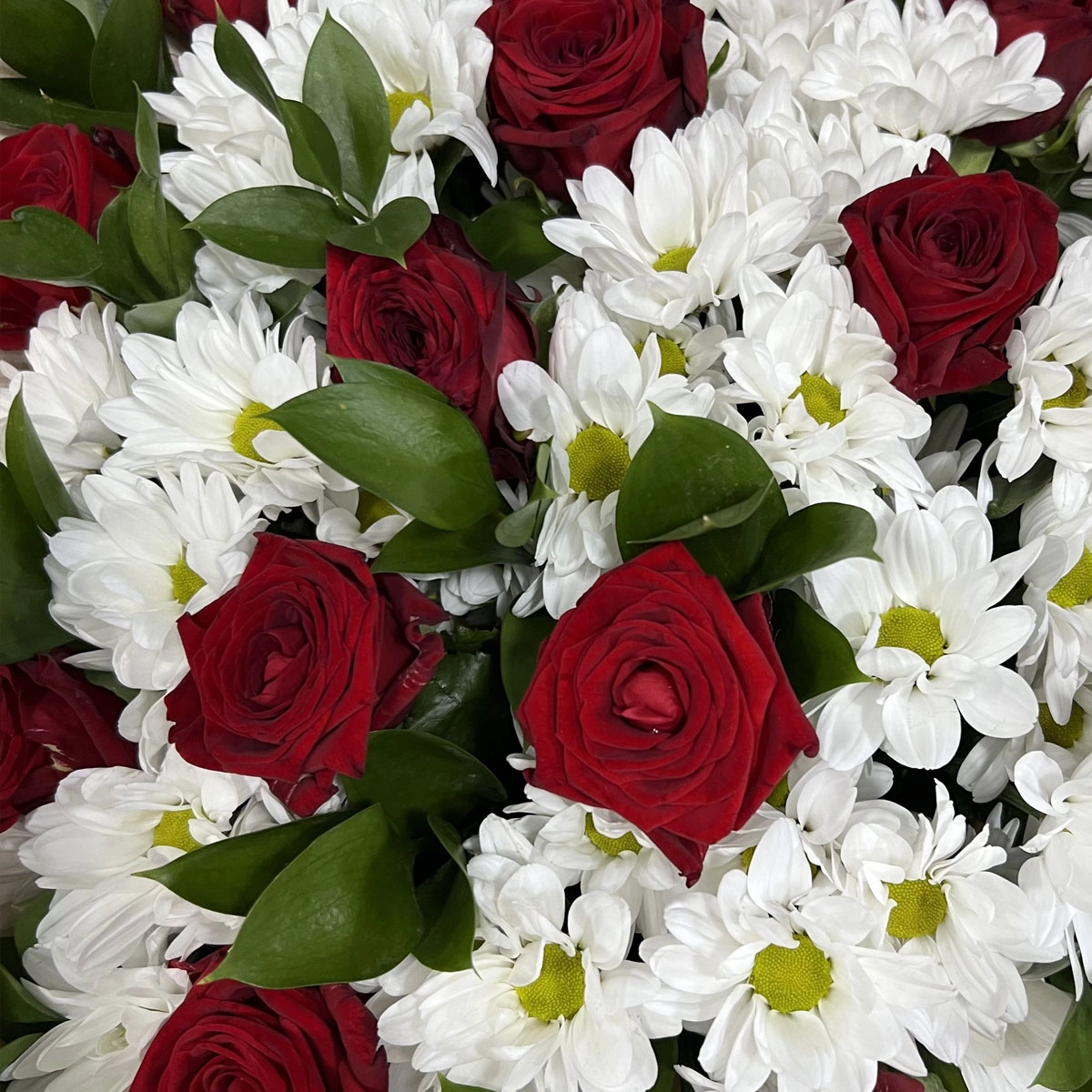 Букет «Романтика» — гармония красных роз и белоснежных хризантем Алатырь Чувашская Республика Букет «Романтика» — гармония красных роз и белоснежных хризантем Алатырь Чувашская Республика