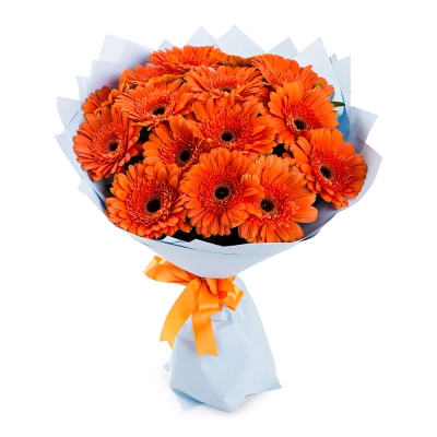 Яркий букет из 15 оранжевых гербер – как кусочек солнца в ваших руках Алатырь Чувашская Республика Яркий букет из 15 оранжевых гербер – как кусочек солнца в ваших руках Алатырь Чувашская Республика